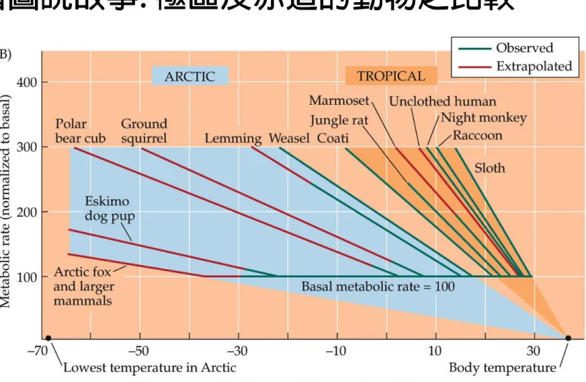 Figure 4.16 B  Metabolic Rates in Endotherms Vary with Environmental Temperatures 