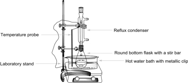 Figure 1. Setup for heating the reaction mixture in a water bath. 