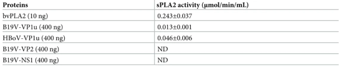 Table 1. Secreted phospholipase A2 (sPLA2) activity of recombinant B19V-VP1u and HBoV-VP1u proteins.