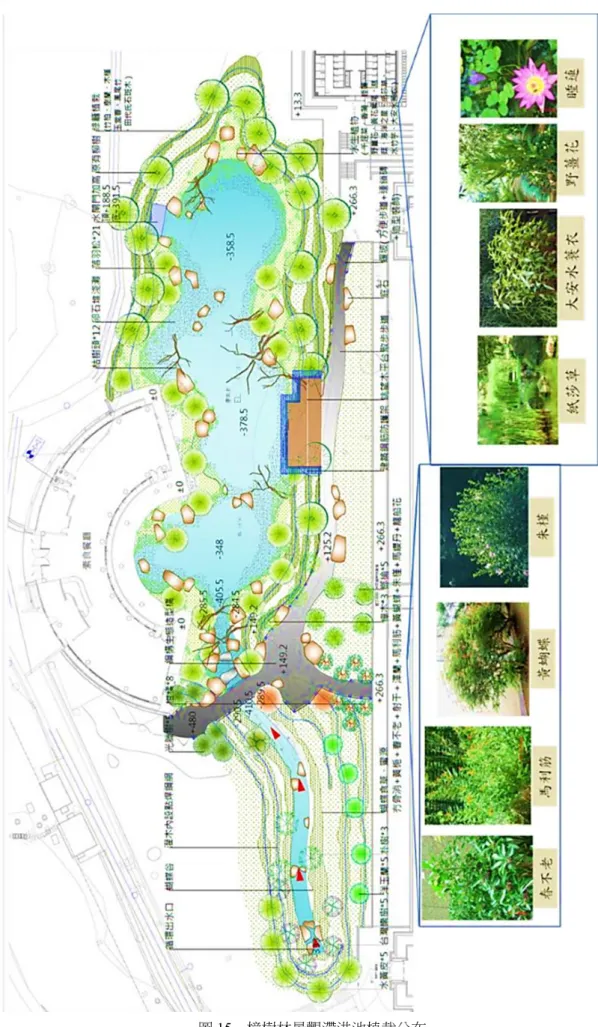 圖 15  樟樹林景觀滯洪池植栽分布 
