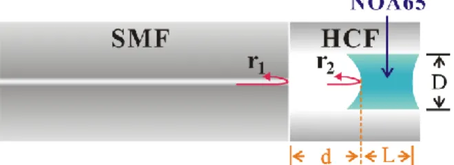 圖 2-1 中 d 為 Fabry–Pérot 共振腔的長度，也就是空氣間隙(Air  gap)，L 為利用毛細現象 吸入之高分子聚合物(Polymer)的長度，D 則是實驗所用之中空光纖的纖芯直徑。 