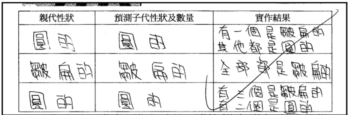 圖 4-5-16：A 班 S11241 學習單第五題答案 
