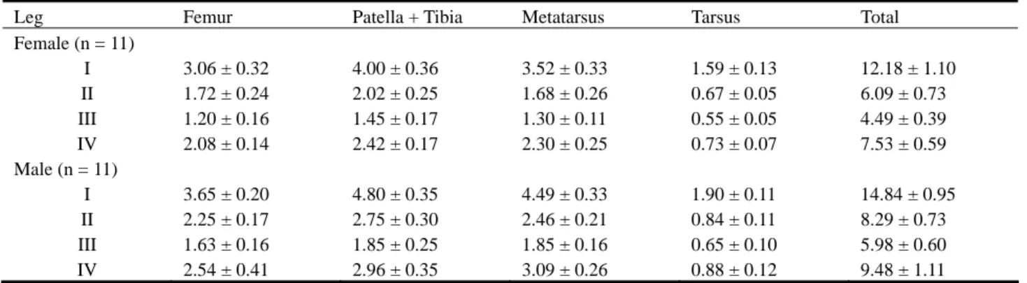 Table 1. Measurements of leg segments of Cheiracanthium taiwanicum sp. nov. (mean ± SD; in mm) 