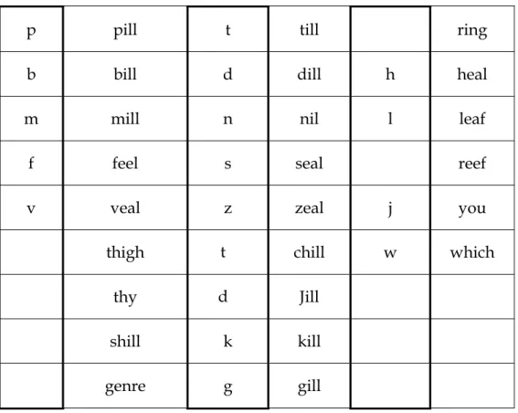 Table 3. Single consonant onset and examples of English 
