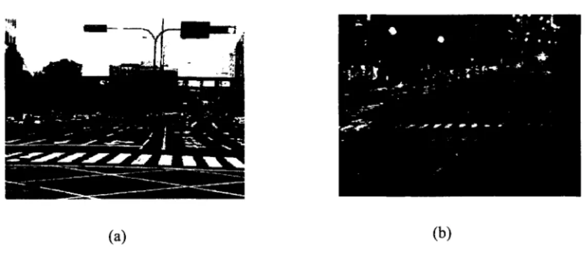 Fig.  8:  Background  images  of examples  in  Fig.l ,  (a)  Daytime  Scene  (b)  Nighttime  Scene