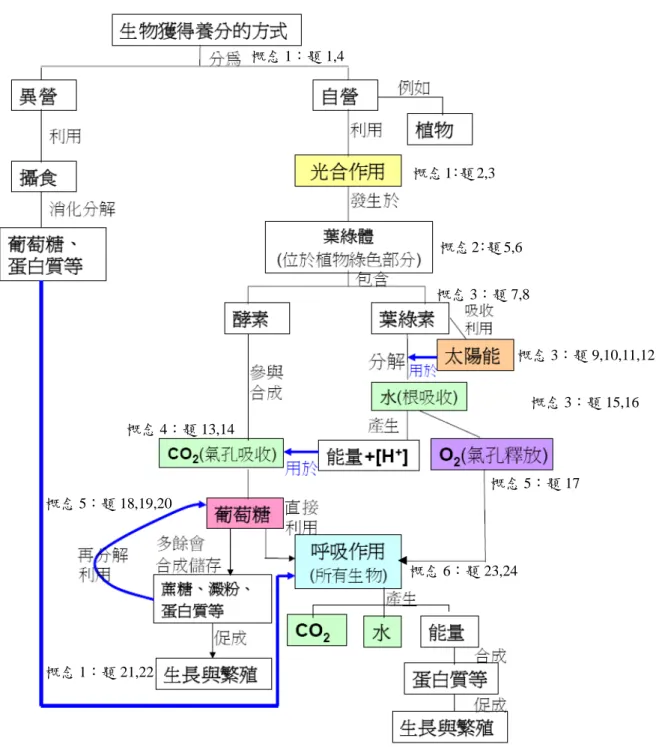 圖 3-2-3  動態評量試題與專家概念圖和光合作用六大概念間的對照圖  註  題號是指動態評量試卷的題號  概念 1：光合作用的意義(定義、目的與重要性)  概念 2：光合作用的場所  概念 3：光合作用的必要條件  概念 4：光合作用的原料  概念 5：光合作用的產物  概念 6：光合作用在生態上的意義  概念 1：題 1,4  概念 1：題 2,3  概念 2：題 5,6  概念 3：題 9,10,11,12概念 3：題 7,8 概念 4：題 13,14 概念 5：題 18,19,20 概念 5：題 