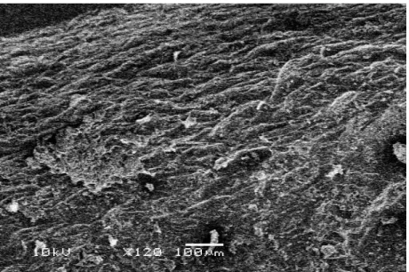 圖 4- 6  具方向性 MWCNTs/Epoxy 磨耗表面形態(X120 倍)  00.10.20.30.40.50.6 0 0.5 1 1.5 2 2.5 MWCNTs  Loading Fraction (wt%)friction coefficient