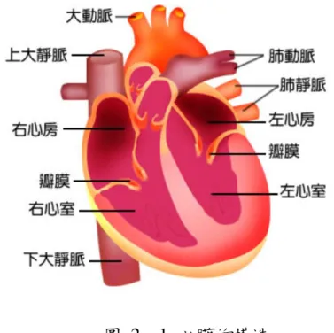圖  2–1  心臟的構造 