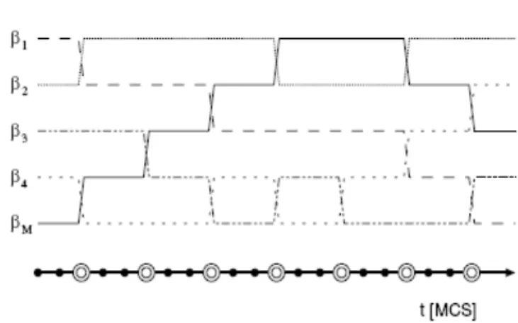 Fig. 2-5  REMC 模擬法示意圖。每條直線皆代表一 replica 內構形變化，以 • 串起的實線是以 MC step (MCS) 為單位的時間軸，◎則為規律地穿插其 中的 RE step。        Fig.2-6  平行運算之主從架構示意圖。 Master   網路  Slave (Replica 1)Slave (Replica 2)‧‧‧‧‧ Slave (Replica M)