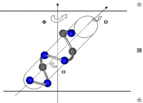 Fig. 3-2  穿膜螺旋於模型中的三個自由度示意圖。傾斜角(θ )、方位角( φ )及自轉角 ( Ω )。Ｚ軸垂直於水平分布的雙層膜。圖中實心球體代表 C α 原子的位置，藍色球 位於想像柱體的前方，灰色部份則位於背面。(螺旋與雙層膜未按比例繪出)  每一次的 MC Step 裡將有一根 α 螺旋被隨機選取，並在滿足 ( )=0Ρr ht 的情況 下作自由的移轉，其中包括：質量中心在ＸＹＺ三維空間的移動，並可改變螺旋 本身的 φ 角與θ 角，另外因為螺旋亦可視為一表面具有可分辨性的圓柱體，所以 亦具繞著