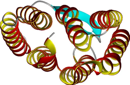 Fig. 1-2  BRD 之原始 3D 結構圖。採 PDB code = 1PY6 之結構數據，配合軟體 MOLMOL 繪出。在本論文第四章的 BRD 結果討論中，皆以此結構作為比較基