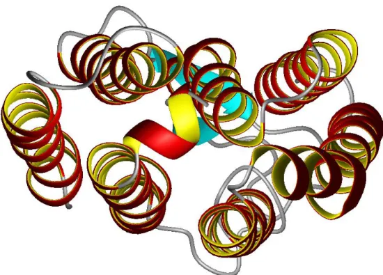Fig. 1-3   HRD 之原始 3D 結構圖。採 PDB code = 1E12 之結構數據，配合軟體 MOLMOL 繪出。在本論文第四章的 HRD 結果討論中，皆以此結構作為比較基