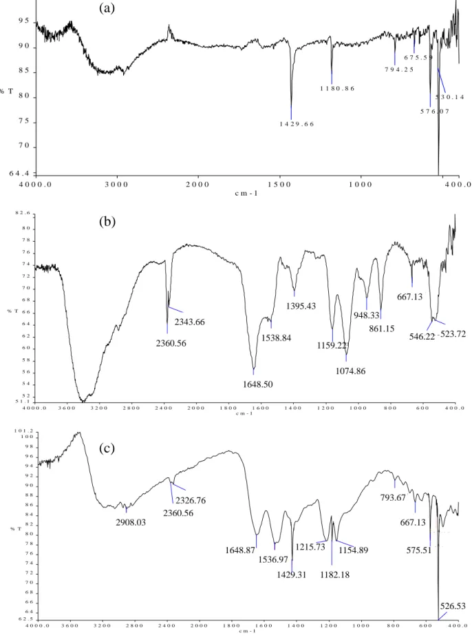 圖 3-13 (a)C 60 、(b)anti-human IgA 以及(c)C 60 /anti-human IgA 的 IR 光 譜圖譜 