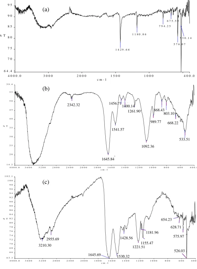 圖 3-14(a)C 60 、(b)anti-human IgM 以及(c)C 60 /anti-human IgM 的 IR 光 譜圖譜 