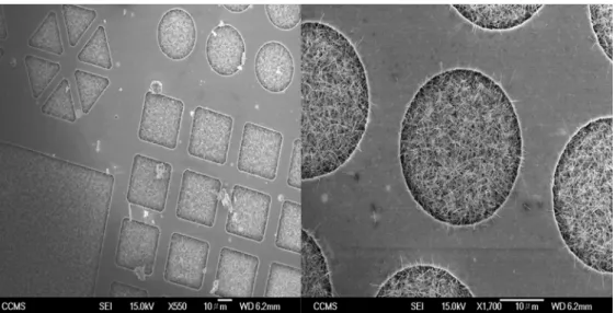 圖 3-2 InN nanorod 成長在 selective-pattern ( SiOx )  基板上 SEM 影像 圖 