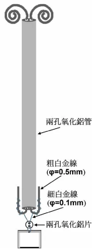 圖 2-3、白金囊包的懸掛圖示（修改自林貞儀，2005） 