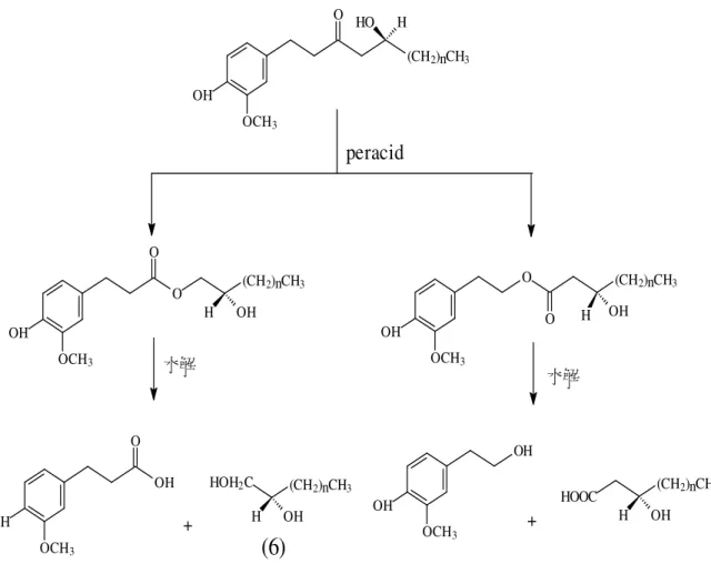 圖 1-5-1    gingerols 的 Baeyer-Villager Oxidation 反應流程圖 