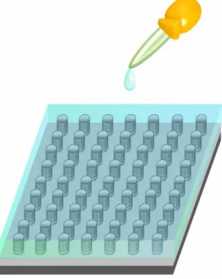 Fig. 2-14 Utilize the cubic structure sensor to soak in the solution of  sample and come to do the simulation and analysis