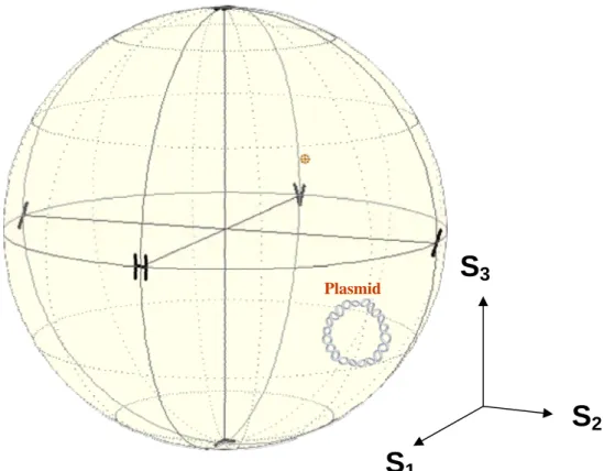 Fig. 4-19 Average result of the state of polarization measurement of  Plasmid for TM mode