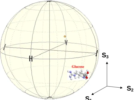 Fig. 4-21 Average result of the state of polarization measurement of  Glucose for TM mode