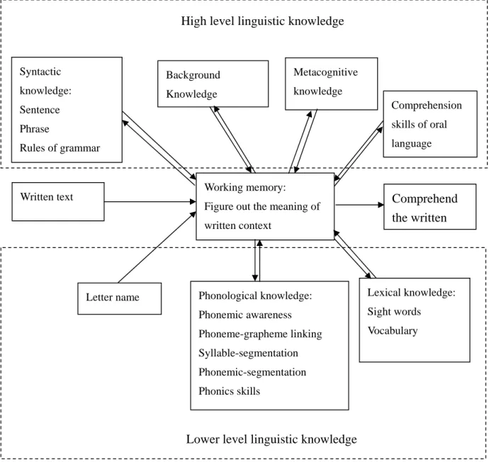 Figure out the meaning of  written context  Comprehension skills of oral language Metacognitive knowledge  Lexical knowledge: Sight words  Vocabulary Letter name Background Knowledge   Syntactic knowledge: Sentence Phrase Rules of grammar Written text Phon