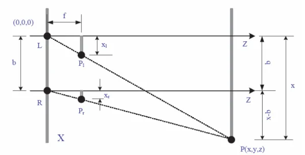 Figure 5. Coordinate system in X-Z plane. 