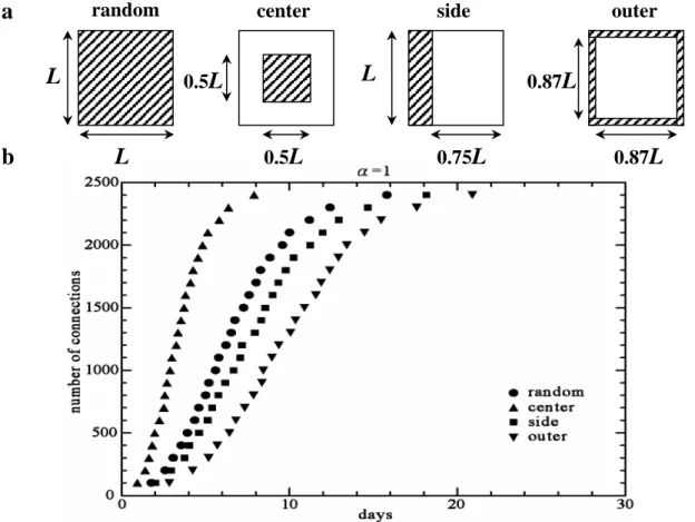 Fig. 25: (a)  四種不同的分佈類型。(斜線部分) (b)當α = 1, time step T 0  = 0.02 hr 時，在四種不同的分佈下，形成突觸聯結的數目與所需時間的關係圖。  另外，我們在α=1 的尋找機制下，進行 random、center、side 與 outer 的四 組不同的分佈類型的模擬，其中 center、side 與 outer 的分佈密度是相同的，僅有 幾何的分佈區域形狀不同。由 Fig.25(b)的結果，對這四組形成突觸聯結所需的時 間進行分析，可以明顯的分辨出來，
