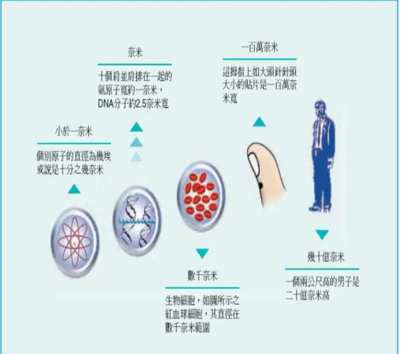 圖 1-6 各種物質尺寸 (23)