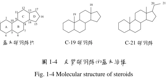 圖 1-4    皮質類固醇的基本結構    Fig. 1-4 Molecular structure of steroids   