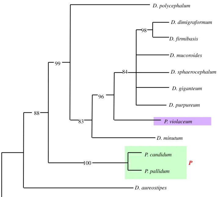 Fig. 8. Maximum parsimony (MP) tree based on partial 18S rDNA sequences. 