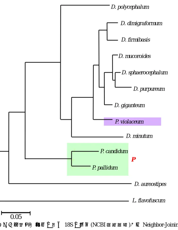 Fig. 9. Neighbor-Joining (NJ) tree based on part of partial 18S rDNA sequences.