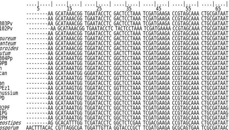 Table 10. Aligned sequences data of 5.8S rDNA 