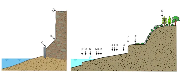 圖 2  濱線變遷研究中常使用的濱線指標，左圖為岩石海岸，右圖為沙質海岸，各指標名稱請參 閱表 1（圖片引用自 Boak and Turner, 2005）。 