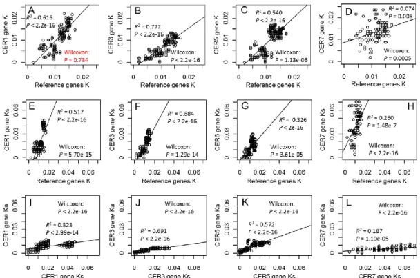 Figure    S4. Pairwise comparison of substitution rates (K) of LAEWC related genes and reference genes  using simple linear regression (SLR) and dependent two-group Wilcoxon Signed Rank Test (WSRT)