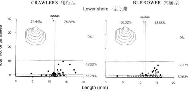 圖 中 的 符 號 代 表 貝 類 的 數 目 :  ○, 1;  ●, 2; , ≥ 3。直 線 將 貝 類 依其 中 間 數 的長 度 分 為 小 型 及 大 型 個 體 。 判 斷 下 列 有 關  波 羅 的 海 貝 的敘 述 :  正 確者 以()代 表;  錯 誤 者 以(  )代 表   (A)  在 哈德 遜 灣 的 波羅 的 海 貝 之生 長 率 符 合一 般 在 潮 間帶 所 觀 察 的規 則,  即 在低 處 生 活 的 個 體 長 得 比 高 處 者 要 快  (B)  生 活