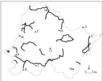 Figure 1. The distribution of the transect lines in Taroko 