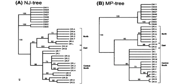 Figure 2. Phylogenetic relationships of Dolomedes rap的r constructed by (A) neighbor-joini 月(NJ) and (B) maximum parsimony (MP) methods in Taiwan