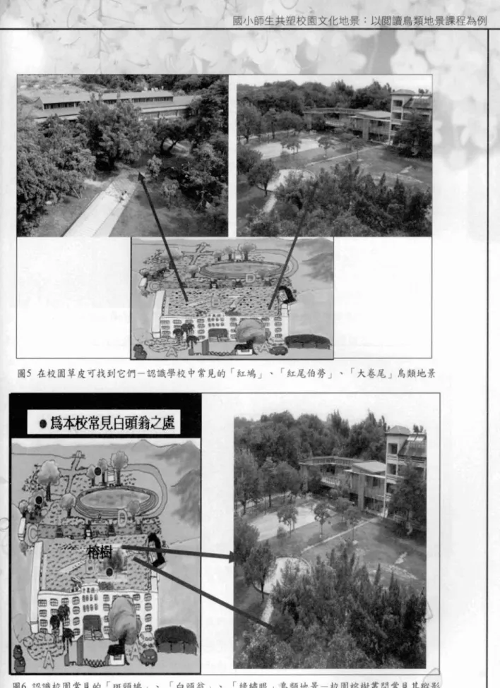 圖 6 認識校園常見的「斑頸鳩」、 「白頭翁」、 「綠繡自民」鳥類地最一校園榕樹叢間常見其蹤影