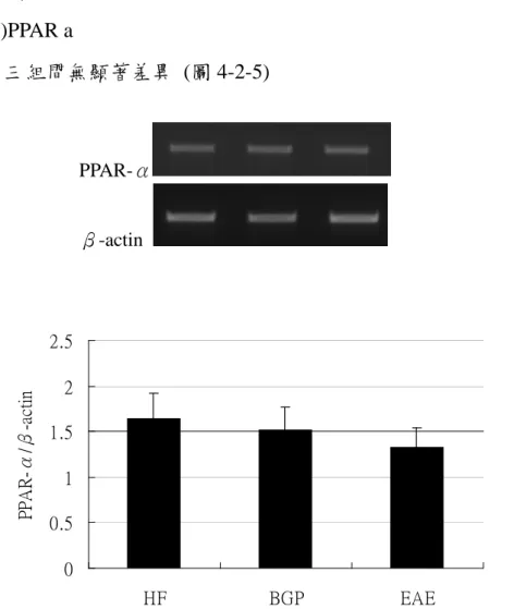 fig 4-2-5 Semiquantative RT-PCR analysis for mRNA of PPAR-αin liver of apoE knockout mice fed the test diet for eight weeks.