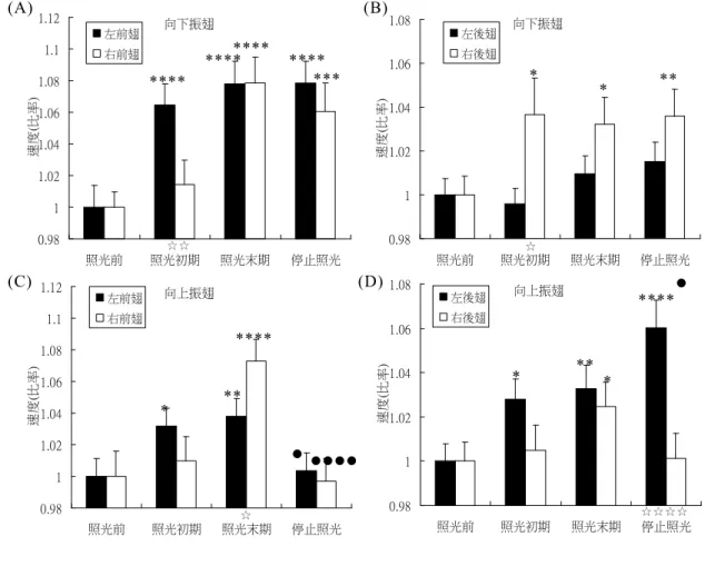 圖 十 一   照 光 刺 激 對 蟑 螂 振 翅 速 度 的 效 應 (平 均  ± 標 準 誤 )。   (A)前 翅 的 向下 振 翅 速 度。 (B)後 翅 的 向 下 振 翅 速度 。   (C)前 翅 的 向 上 振 翅 速 度。 (D)後 翅 的向 上 振 翅 速度 。   與 「 照 光 前 」 比 較 (單 尾 t 檢 定 )： *： p < 0.05； **： p < 0.01；                                                 