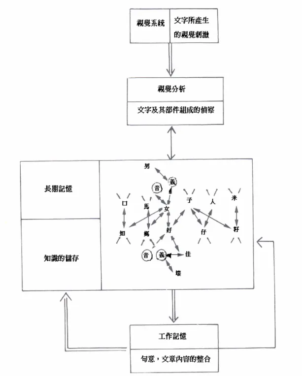 圖 2-4    多層次字彙辨識模型理論圖 
