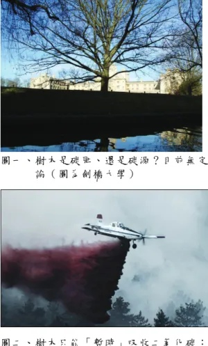 圖 一 、 樹 木 是 碳 匯 、 還 是 碳 源 ？ 目 前 無 定 論 （ 圖 為 劍 橋 大 學 ）  圖 二 、 樹 木 只 能 「 暫 時 」 吸 收 二 氧 化 碳 ： 森 林 大 火 會 釋 放 二 氧 化 碳 至 空 氣 中。(圖 片來源：中 國國際 廣 播 電 台 網 站)  這 個 看 似 想 當 然 耳 的 算 式 ， 事 實 上 卻 隱 含 了 價 值 （ 甚 至 是 偏 見 ） 在 其 中 。 如 果 地 球 吸 收 二 氧 化 碳 的 能 力 與 土 地 、 植 被 等 等(註二