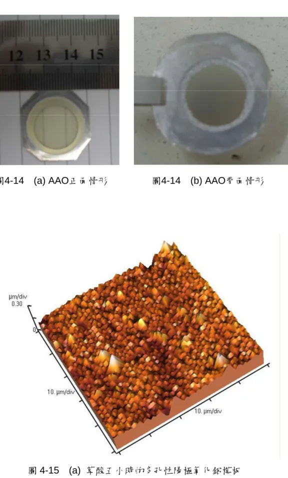 圖 4-15  (a) 草酸五小時的多孔性陽極氧化鋁模板 