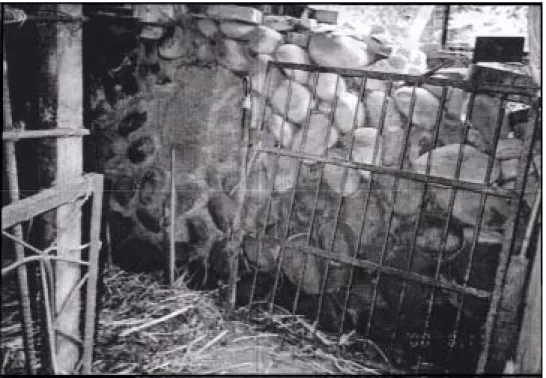 圖 4-2  後壠城堡遺跡圖 