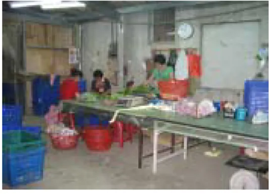 圖 3-11 包裝場  資料來源:拍攝於 T14 農場(五 )包 裝 場 (圖 3-11 ) 採 用 自 產 自 銷 的 有 機 蔬 菜 農 場 會 在 農場 中 設 置 包 裝 場 (例 如 :T02、 T04~T06、T13~T17、 T20 ~T25、 T27~T34 )， 場 中 大約 有 二 至 五 位 員 工 或 家 庭 成 員 負 責 包 裝的 工 作 ， 而 包 裝 場 旁 有 大 型 冷 藏 設 施 的 配置 ， 使 包 裝 完 成 的 蔬 菜 在 出 貨 前 放 置 於 冷 藏 設 施 