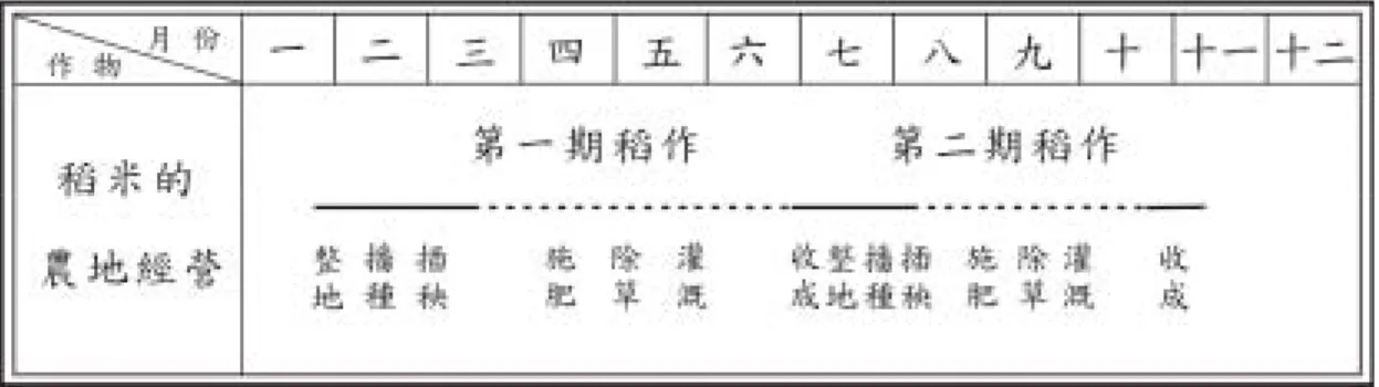 圖 3-2  稻作栽培的年中農地經營工作  註：資料來源：田野訪談，2006/8∼12                          農忙時期                          農閒時期  （二）  旱作雜糧---甘藷的栽培 17 1
