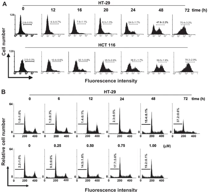 Fig. 2. Justicidin A-induced apoptosis in colorectal cancer cells. HT-29 or HCT 116 cells (2  10 5 cells/well) in 2 ml medium were grown in 6-well dishes