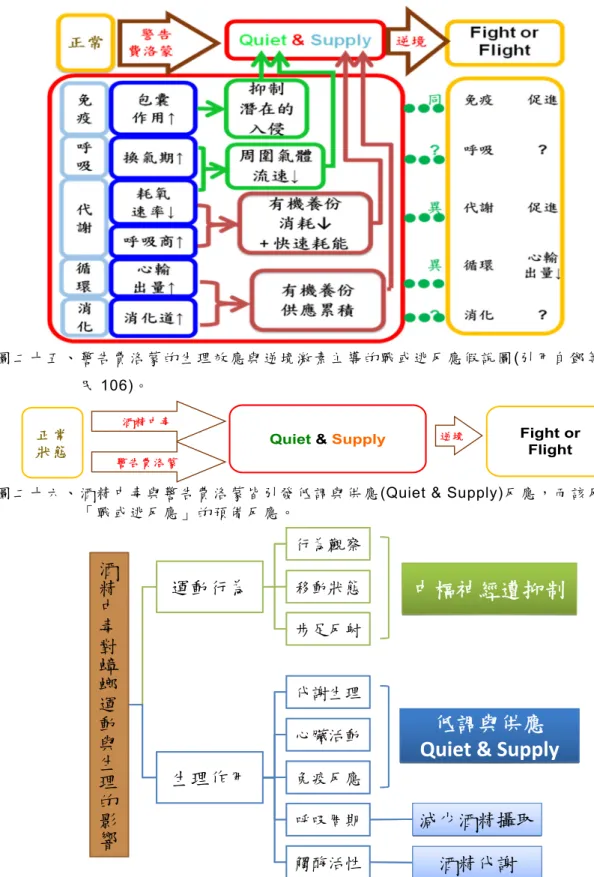 圖 二 十 六 、 酒 精 中 毒 與 警 告 費 洛 蒙 皆 引 發 低 調 與 供 應(Quiet &amp; Supply)反 應 ， 而 該反 應 為 「 戰 或 逃 反 應 」 的 預 備 反 應 。