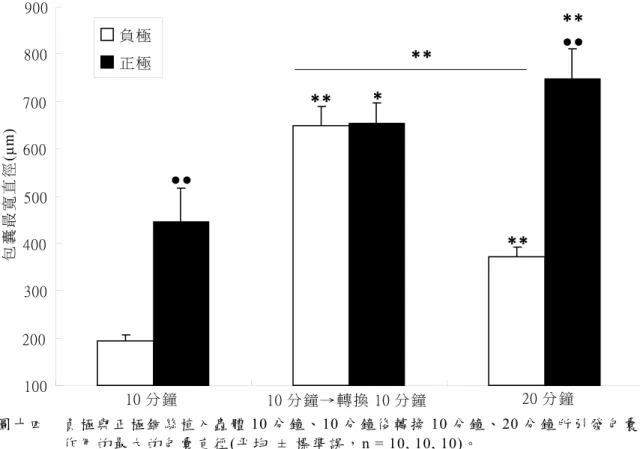 圖 十 四    負極 與 正 極 銅絲 植 入 蟲 體 10 分 鐘 、 10 分 鐘 後 轉換 10 分 鐘、 20 分 鐘 所引 發 包 囊 作 用 的 最 大 的 包 囊 直 徑(平 均  ± 標準 誤 ， n = 10, 10, 10)。   與 10 分 鐘 組 相 比 (單 尾 t 檢 定 )： **：p < 0.01  與 負 極 相 比 (單 尾 配 對 t 檢 定 )：●●： p < 0.01  肆、討論   本 文 介 紹 一 個 觀 察 、 量 化 蟑 螂 包 囊 作 用