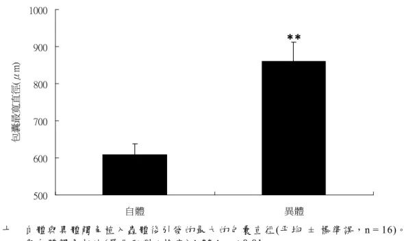 圖 十     自 體與 異 體 觸 角植 入 蟲 體 後引 發 的 最 大的 包 囊 直 徑 (平 均  ± 標準 誤，n = 16)。   與 自 體 觸 角 相 比 (單 尾 配對 t 檢 定 )： **：p < 0.01  三、入侵物表面蛋白  自 體 與 異 體 觸 角 樣 本 經 酒 精 處 理 (使 表 面蛋 白 變 性)，再 植入 蟲 體後 比 較 其 包囊 作 用 的 程 度，發 現 自 體 與 異 體 處 角 樣 本 所 引 發 的 包 囊 作 用 沒 有 差 異(圖十 一)，也 
